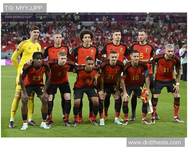 比利时足球十大球星排名分析 探讨顶尖球员的表现与成就